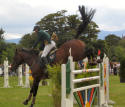 Dun Laoghaire Horse Show 2003