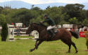 Dun Laoghaire Horse Show 2003