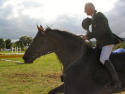 Dun Laoghaire Horse Show 2003